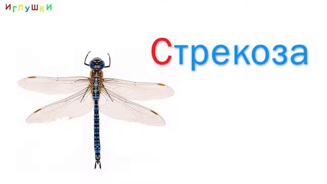 НАСЕКОМЫЕ для ДЕТЕЙ  Развивающие ВИДЕО про насекомых для детей в HD качестве