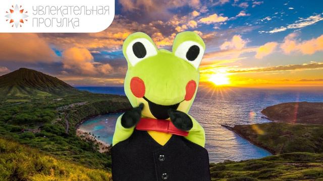 F390384a9a22c2701fcd044f707859fe