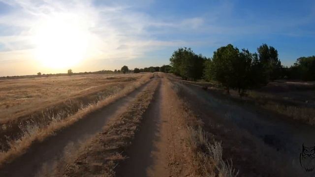 Психологический Коучинг и Развитие личности