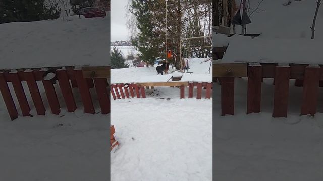 Весёлые побегушки 🥰