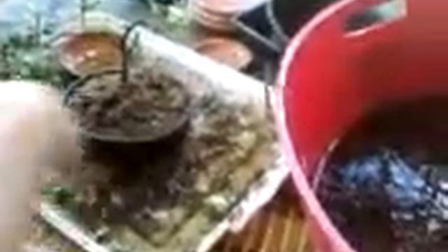 Cd25bf7b68c660b0ea223c0265791530