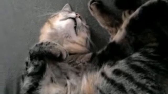 Fa48ad7b5a95c9be275cb8dd36291c08