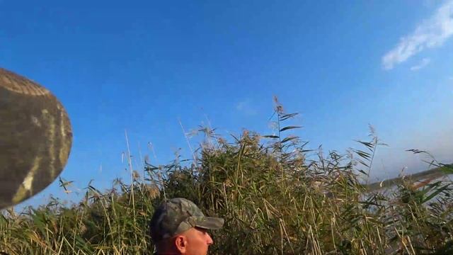 Вечерняя охота на уток