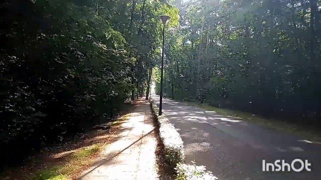 Рoranek We Włoszakowicach/ Утро в польском селе