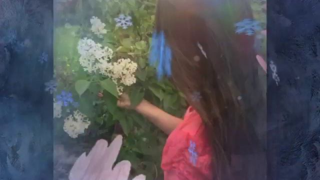 И в правду я люблю животных