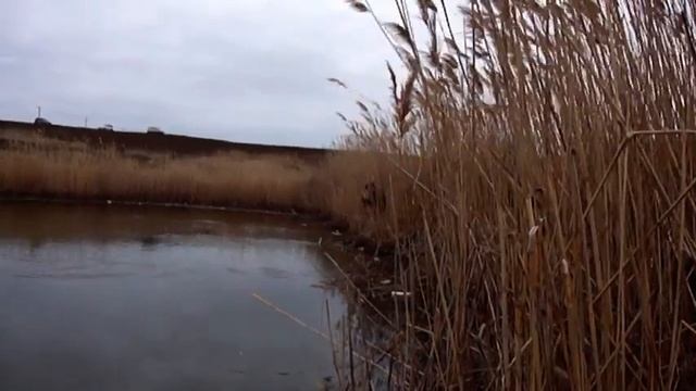 Мормышинг! Микро Мандула Кракозябра! Микро Джиг! на Подкове