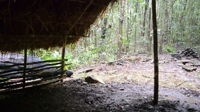 Primitive Technology_ Grass Thatch, Mud Hut