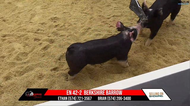 EN 42-2 Beaman 3/5/2024 Sale