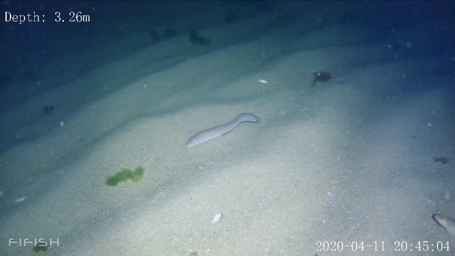 55fbaa74ac290e312b7e481d68c1c0ed