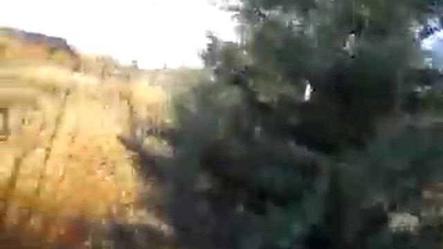 2ae713e18a154d007c08220cb87c14c5