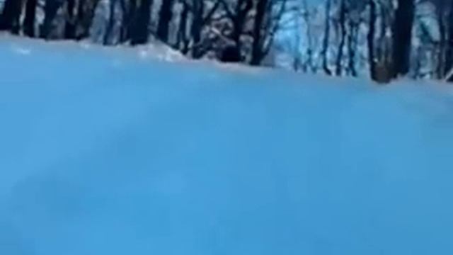 Я летаю и кувыркаюсь