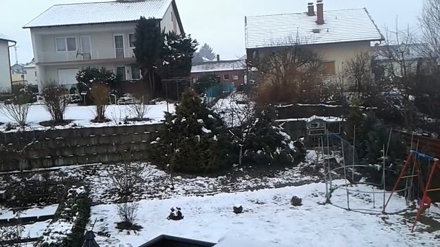 Началось....утро в деревне♡злые,как собаки♡ давайте жить дружно♡