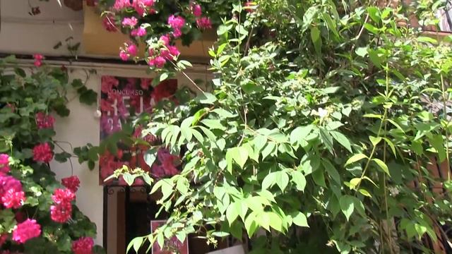 7246c4e8c49a7d9ff5add90df63b48bc