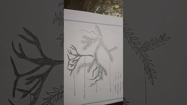 Bd05a273c97e21dd4dd83b5cf2618759