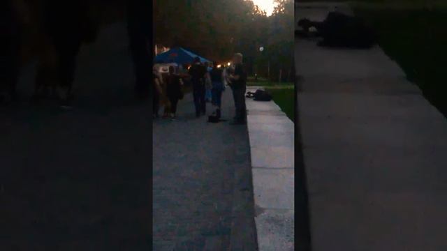 Poltava (Полтава)