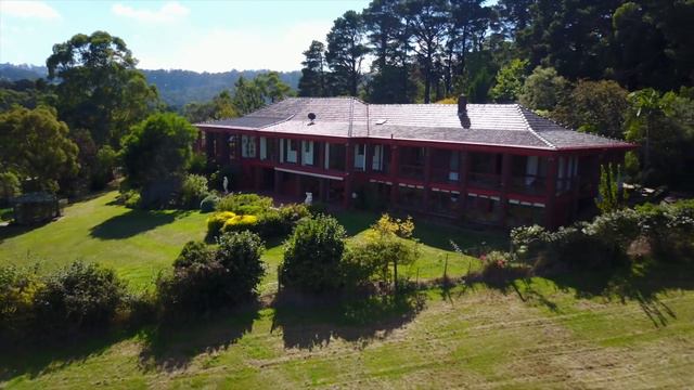 Barry Plant Emerald   Kitty Lane Clematis 2