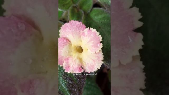 E9c138c739ff4840c995167608514b96