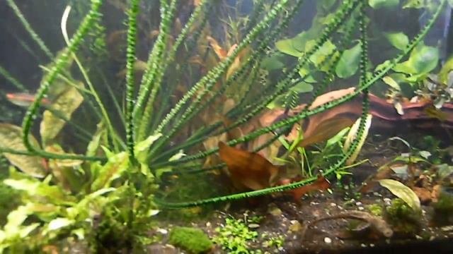 1e0fb22a3baf277b7dd5ee516e085558