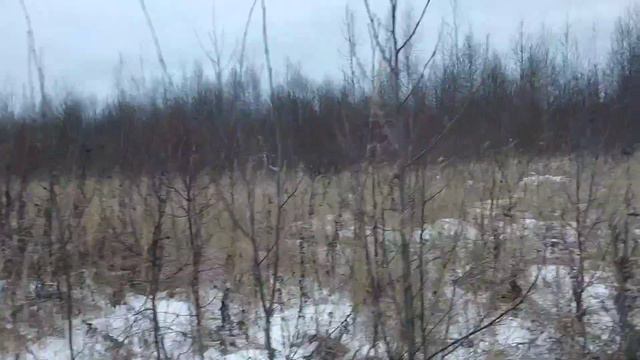 45318aca3058840fd626513ede1440de