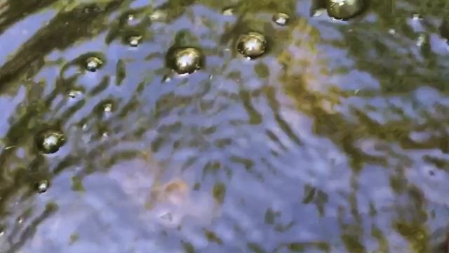 21 июня день Фёдора Колодезника