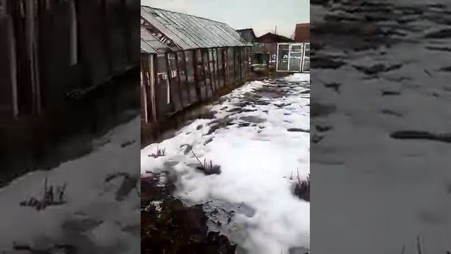 Снт Коммунальник