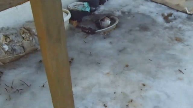 Теплица своими руками. Часть первая.