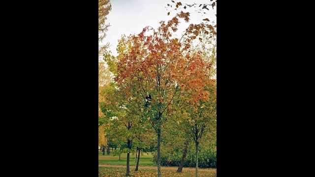 0837d906c2efc3f4b014b831af5b49d0