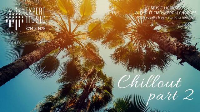Licensed music for business - Chillout part II