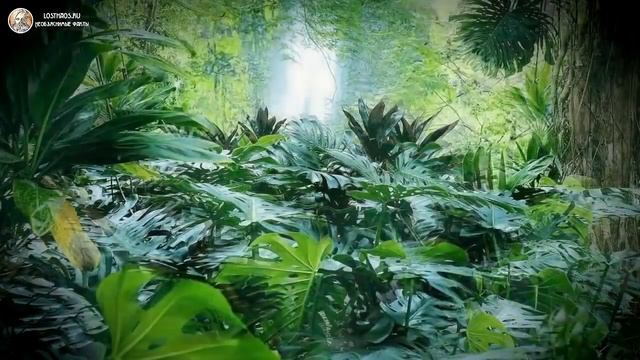 День Ивана Купала