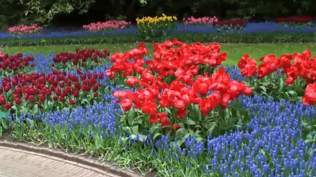 A128f5df050dc46952bb7b9b7b6401bd