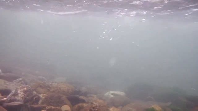 FinePix XP200　水中動画