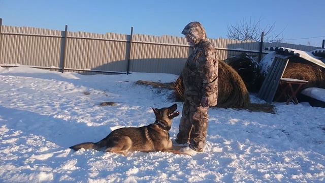 Carbon Vom Bergmanns-Weg