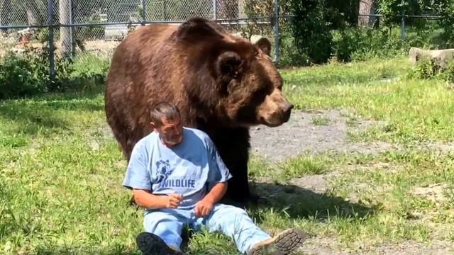 Jim and Jimbo with a cameo by the amazing and wonderful Leo. Happy bears.