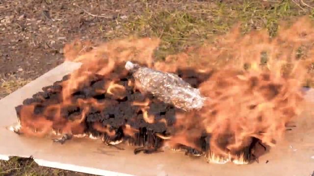 EXPERIMENT 50,000 MATCHES Vs FISH