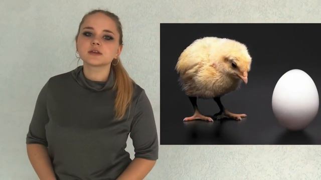 Парадокс - это нормально!, 1 этап, 2020 г. ДМИП 