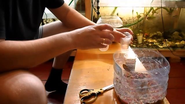Посадка аквариумных растений