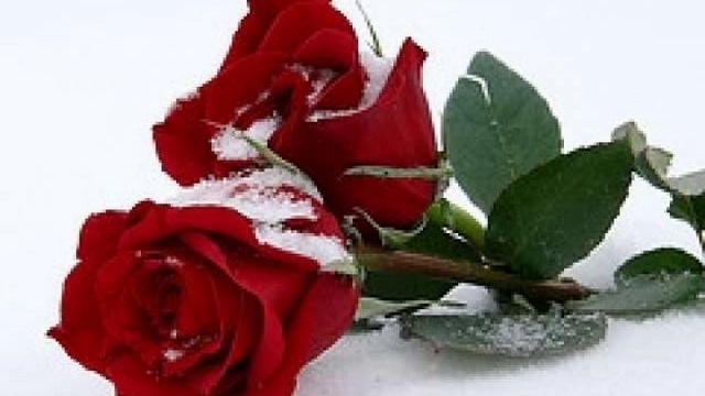 Daniela Alfinito - Hit Mix