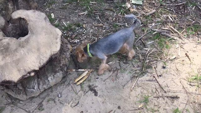 434c8fb50678eb1cb05bf68bdcd6f08a