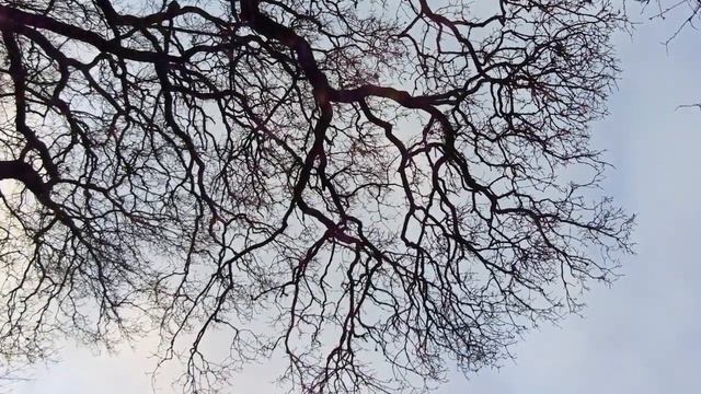 САМАДХИ. СПИРАЛЬ 2/4