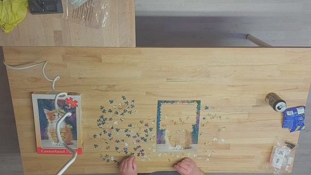 Castorland B-26562 260 Piece Puzzle Of Cat Timelapse