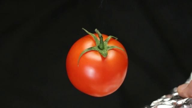 №3 Как фотографировать на черном фоне. Помидор