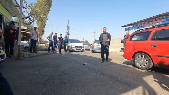 Октавы Мышления