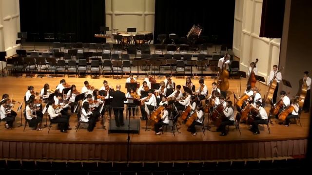 Concerto Grosso In D Minor, Op. 3, No. 11 | Punahou School Concert 2 Orchestra | 2012 HASTA PoO