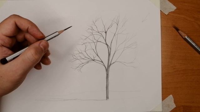 Как нарисовать дерево карандашом. Поэтапный рисунок