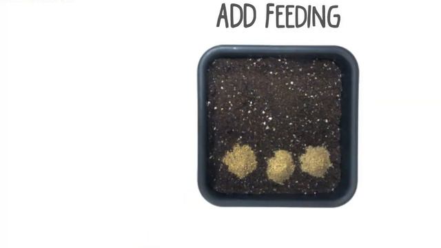 Powder feeding