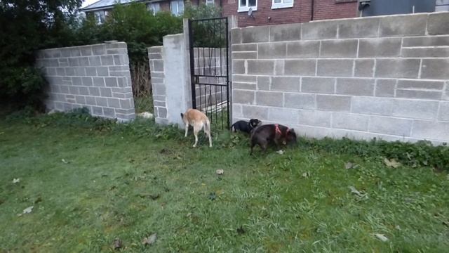 Panasonic LUMIX DMC-FZ72 Test Video