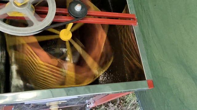 Пчелы.  Пасека.  Первый мед.  Разведение пчел