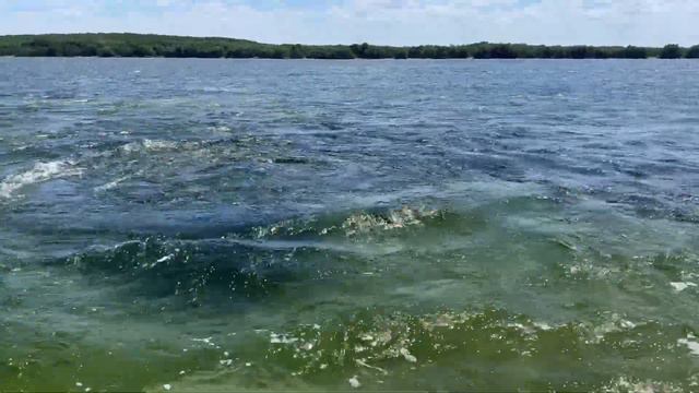 Dzilam De Bravo Where Eco Adventure Awaits!