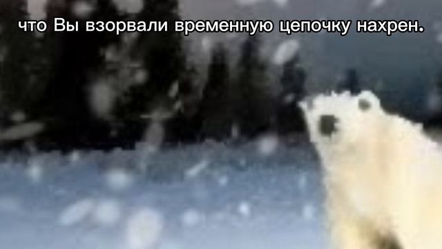 медведь из 2026 года знает всё...