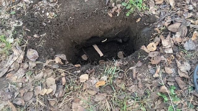 Ака вектор 7262м Тест металлоискателя 3 копейки 1911г. Интроник своего времени